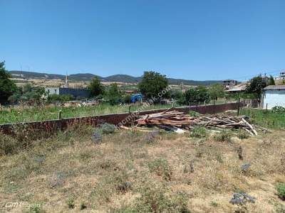 Tekirdağ Şarköy Şenköy Mahallesi Satılık Bahçe 4