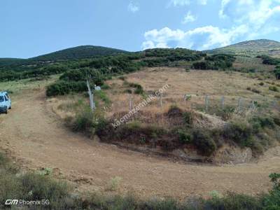Tekirdağ Şarköy Tepeköy Mah.yarı Fiyatına Hobi Bahçesi 2