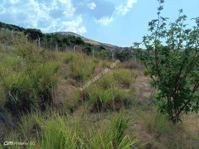 Tekirdağ Şarköy Tepeköy Mah.yarı Fiyatına Hobi Bahçesi 15