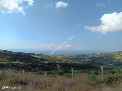 Tekirdağ Şarköy Tepeköy Mah.yarı Fiyatına Hobi Bahçesi 16