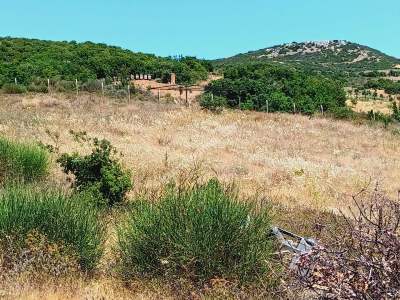 Tekirdağ Şarköy Tepeköy Mah.yarı Fiyatına Hobi Bahçesi 25