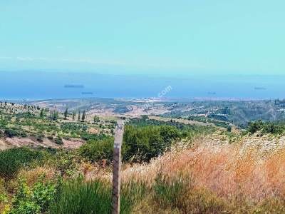 Tekirdağ Şarköy Tepeköy Mah.yarı Fiyatına Hobi Bahçesi 24