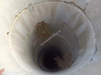 Tekirdağ Şarköy Tepeköy Mah.yarı Fiyatına Hobi Bahçesi 11