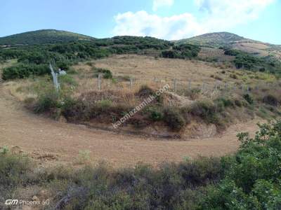 Tekirdağ Şarköy Tepeköy Mah.yarı Fiyatına Hobi Bahçesi 18