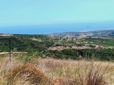 Tekirdağ Şarköy Tepeköy Mah.yarı Fiyatına Hobi Bahçesi 20