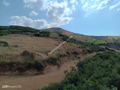 Tekirdağ Şarköy Tepeköy Mah.yarı Fiyatına Hobi Bahçesi 19