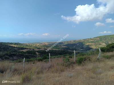 Tekirdağ Şarköy Tepeköy Mah.yarı Fiyatına Hobi Bahçesi 17