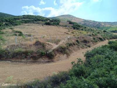 Tekirdağ Şarköy Tepeköy Mah.yarı Fiyatına Hobi Bahçesi 3