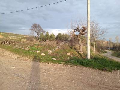 Tekirdağ Şarköy Tepeköy Mahallesi Satılık Arsa 1