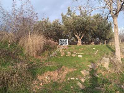 Tekirdağ Şarköy Tepeköy Mahallesi Satılık Arsa 3