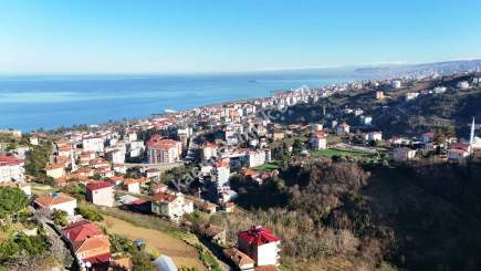 Trabzon Akçaabat Orta Mahallede Satılık Kupon Arsa 11