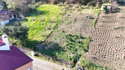 Trabzon Akçaabat Orta Mahallede Satılık Kupon Arsa 5