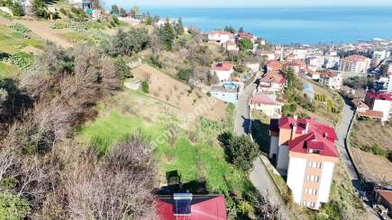Trabzon Akçaabat Orta Mahallede Satılık Kupon Arsa 6