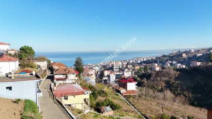 Trabzon Akçaabat Orta Mahallede Satılık Kupon Arsa 8