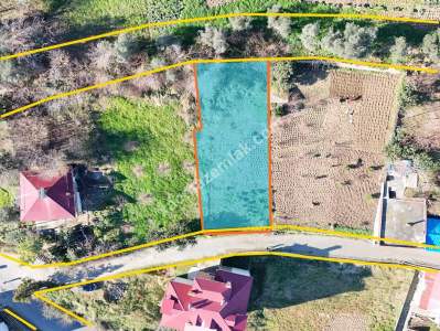 Trabzon Akçaabat Orta Mahallede Satılık Kupon Arsa 2