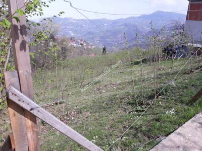 Trabzon Merkez Ayvalı Da Satılık 1.800M2 Arazi, 9