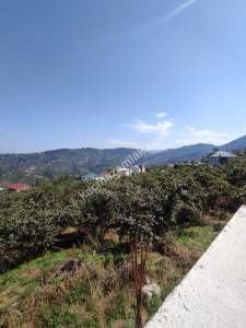Trabzon Merkez Doğançay Da Satılık 1.000 M2 Arazi, 11