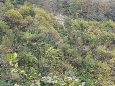 Kaşüstü Satılık Tarla/Bağ/Bahçe Yeşilvadi Köyüne 2 Km 26