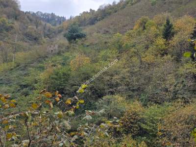 Kaşüstü Satılık Tarla/Bağ/Bahçe Yeşilvadi Köyüne 2 Km 11