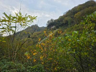 Kaşüstü Satılık Tarla/Bağ/Bahçe Yeşilvadi Köyüne 2 Km 36