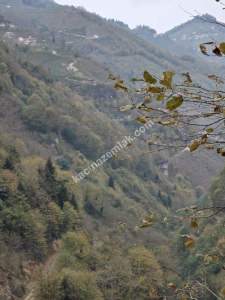 Kaşüstü Satılık Tarla/Bağ/Bahçe Yeşilvadi Köyüne 2 Km 7