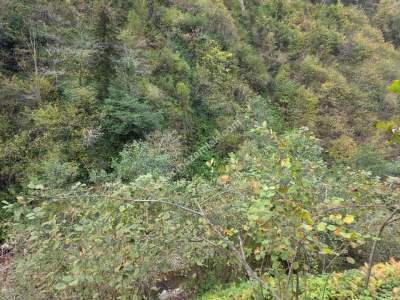 Kaşüstü Satılık Tarla/Bağ/Bahçe Yeşilvadi Köyüne 2 Km 22