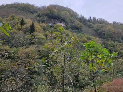 Kaşüstü Satılık Tarla/Bağ/Bahçe Yeşilvadi Köyüne 2 Km 10