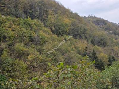 Kaşüstü Satılık Tarla/Bağ/Bahçe Yeşilvadi Köyüne 2 Km 27