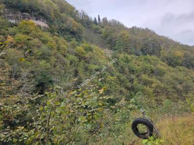 Kaşüstü Satılık Tarla/Bağ/Bahçe Yeşilvadi Köyüne 2 Km 28