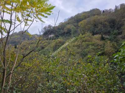 Kaşüstü Satılık Tarla/Bağ/Bahçe Yeşilvadi Köyüne 2 Km 37