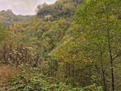 Kaşüstü Satılık Tarla/Bağ/Bahçe Yeşilvadi Köyüne 2 Km 34