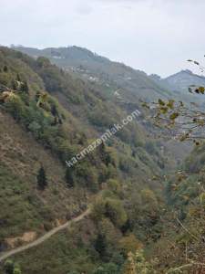 Kaşüstü Satılık Tarla/Bağ/Bahçe Yeşilvadi Köyüne 2 Km 8