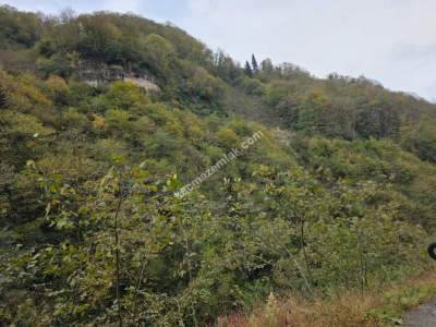 Kaşüstü Satılık Tarla/Bağ/Bahçe Yeşilvadi Köyüne 2 Km 29