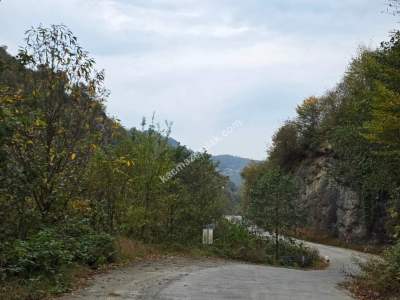 Kaşüstü Satılık Tarla/Bağ/Bahçe Yeşilvadi Köyüne 2 Km 25