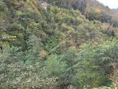 Kaşüstü Satılık Tarla/Bağ/Bahçe Yeşilvadi Köyüne 2 Km 19