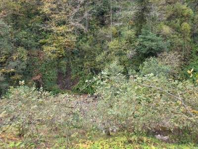 Kaşüstü Satılık Tarla/Bağ/Bahçe Yeşilvadi Köyüne 2 Km 24