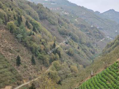 Kaşüstü Satılık Tarla/Bağ/Bahçe Yeşilvadi Köyüne 2 Km 6