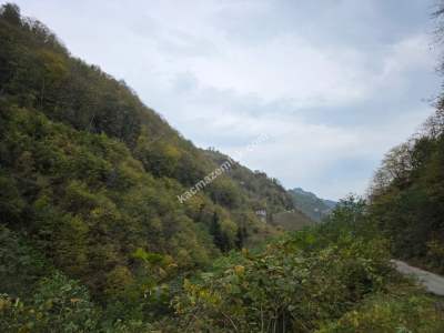 Kaşüstü Satılık Tarla/Bağ/Bahçe Yeşilvadi Köyüne 2 Km 20