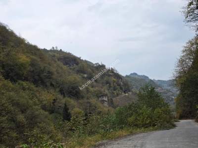 Kaşüstü Satılık Tarla/Bağ/Bahçe Yeşilvadi Köyüne 2 Km