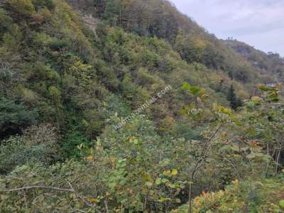 Kaşüstü Satılık Tarla/Bağ/Bahçe Yeşilvadi Köyüne 2 Km 21