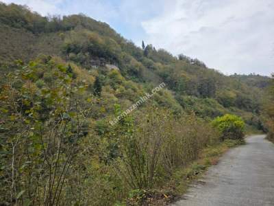 Kaşüstü Satılık Tarla/Bağ/Bahçe Yeşilvadi Köyüne 2 Km 14
