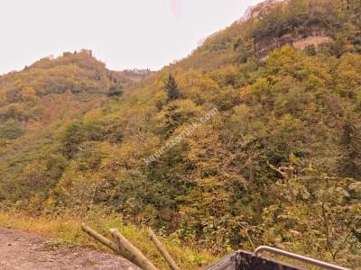 Kaşüstü Satılık Tarla/Bağ/Bahçe Yeşilvadi Köyüne 2 Km 15