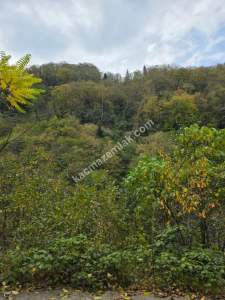 Kaşüstü Satılık Tarla/Bağ/Bahçe Yeşilvadi Köyüne 2 Km 3