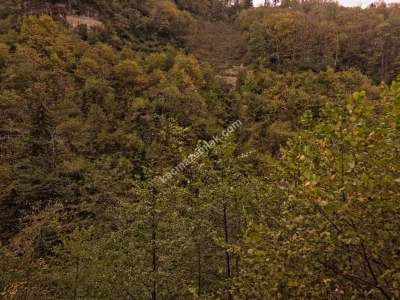 Kaşüstü Satılık Tarla/Bağ/Bahçe Yeşilvadi Köyüne 2 Km 17