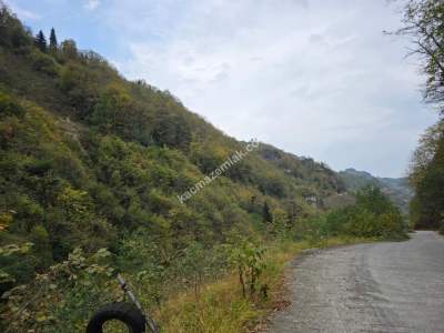 Kaşüstü Satılık Tarla/Bağ/Bahçe Yeşilvadi Köyüne 2 Km 2