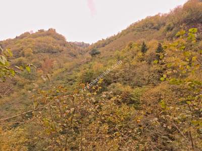 Kaşüstü Satılık Tarla/Bağ/Bahçe Yeşilvadi Köyüne 2 Km 13