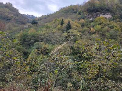 Kaşüstü Satılık Tarla/Bağ/Bahçe Yeşilvadi Köyüne 2 Km 30