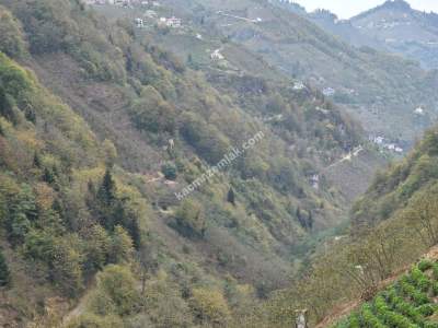 Kaşüstü Satılık Tarla/Bağ/Bahçe Yeşilvadi Köyüne 2 Km 5