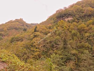 Kaşüstü Satılık Tarla/Bağ/Bahçe Yeşilvadi Köyüne 2 Km 16