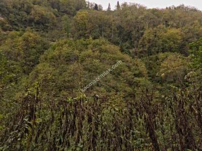 Kaşüstü Satılık Tarla/Bağ/Bahçe Yeşilvadi Köyüne 2 Km 32